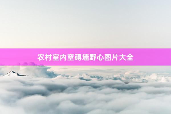 农村室内窒碍墙野心图片大全